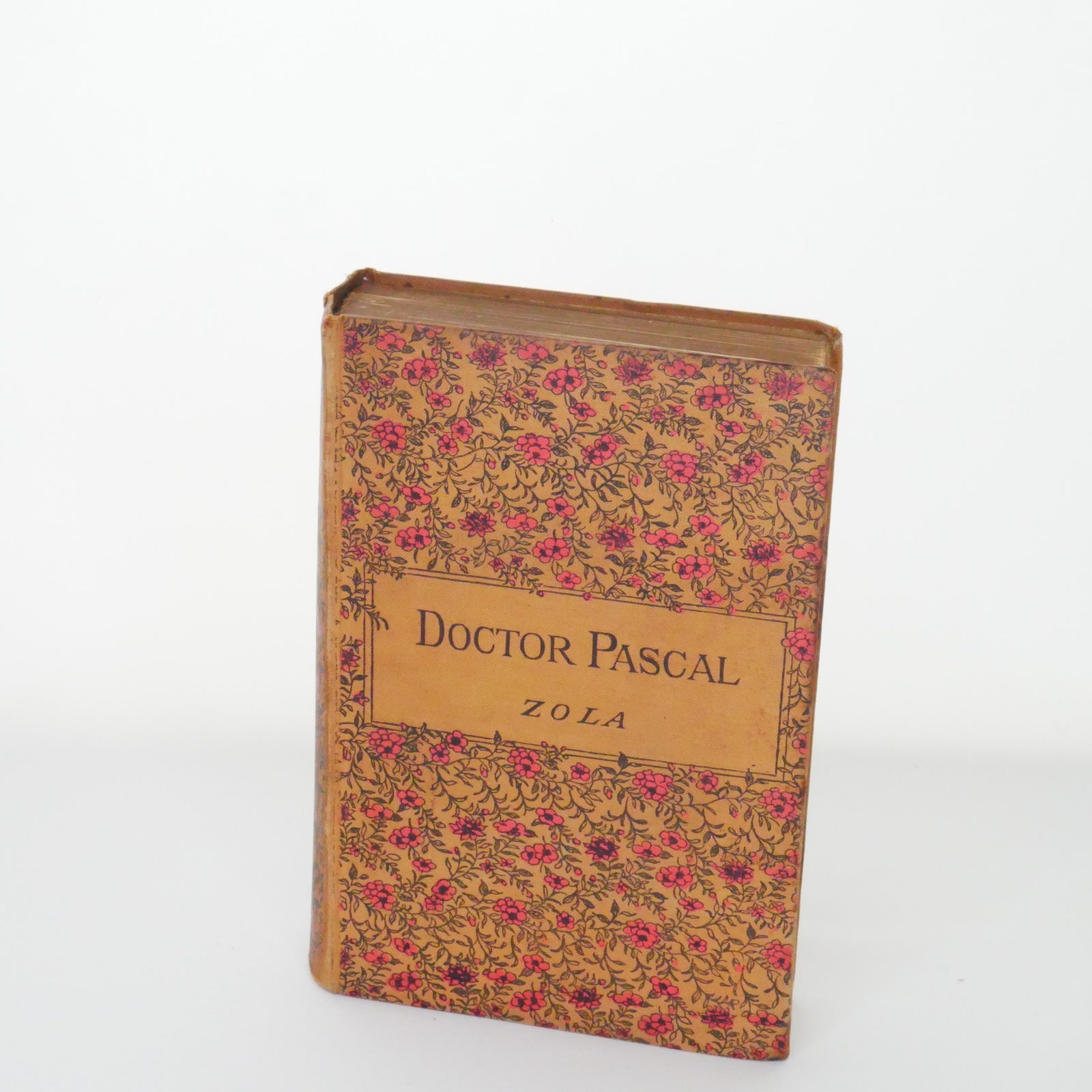 Doctor Pascal - Émile Zola (Chatto & Windus, 1894)