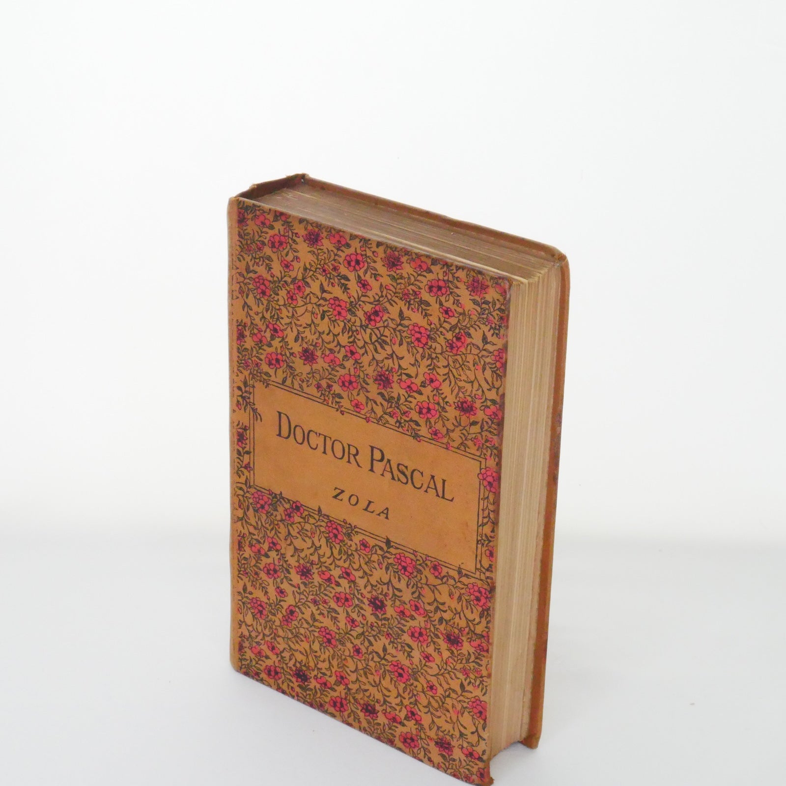 Doctor Pascal - Émile Zola (Chatto & Windus, 1894)