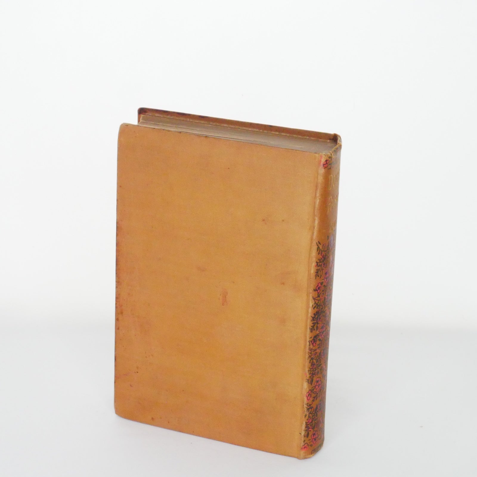 Doctor Pascal - Émile Zola (Chatto & Windus, 1894)